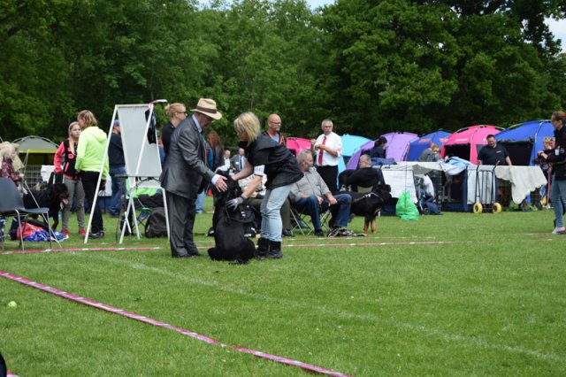 Vejen lørdag 2015