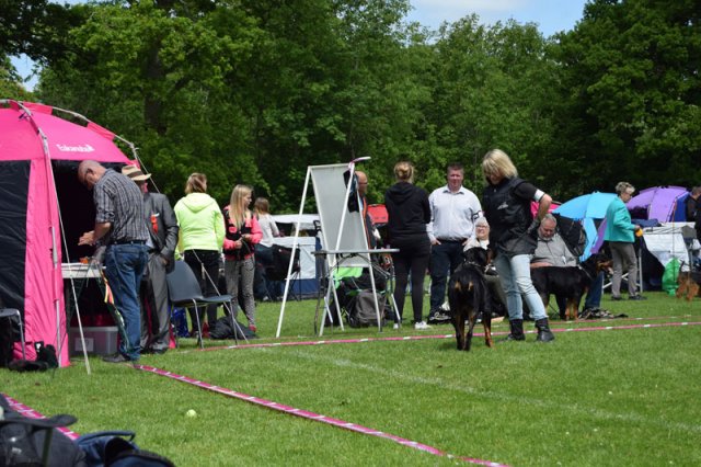 Vejen lørdag 2015