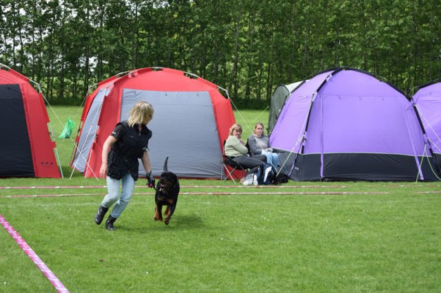 Vejen lørdag 2015