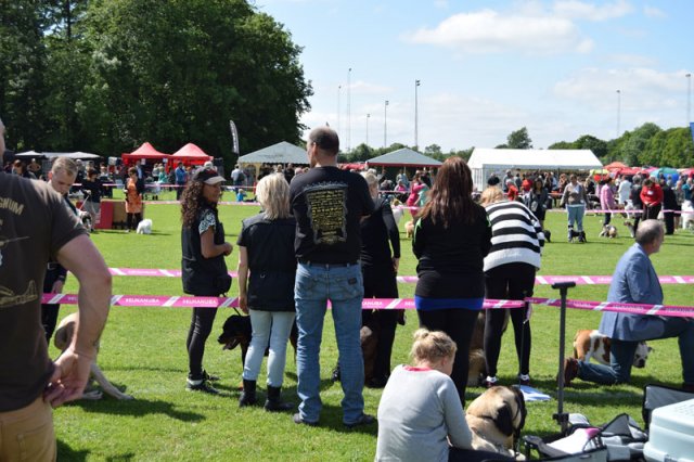 Vejen lørdag 2015