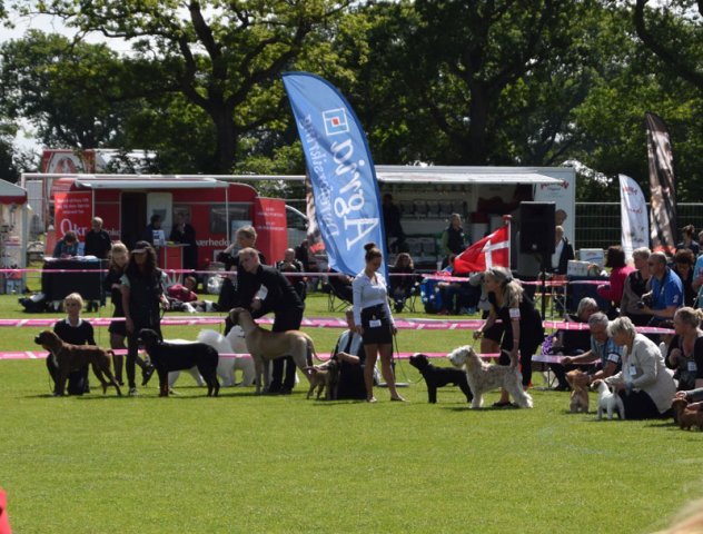 Vejen lørdag 2015