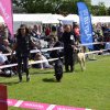 Vejen lørdag 2015
