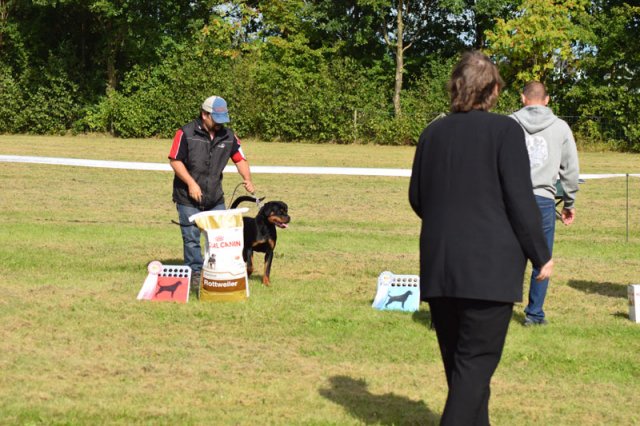 Ishøj 2016