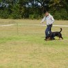 Ishøj 2016