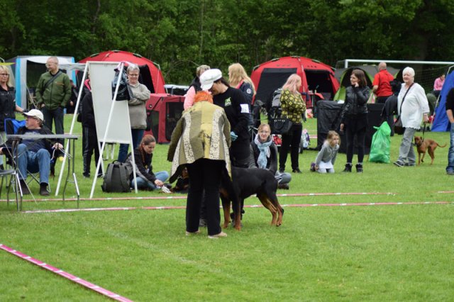 Vejen søndag 2015