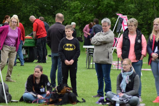Vejen søndag 2015