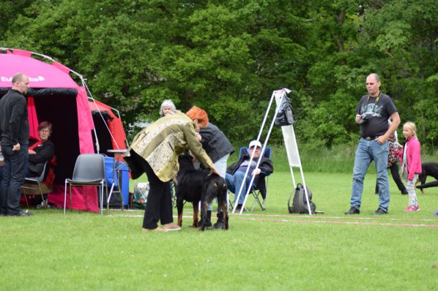 Vejen søndag 2015