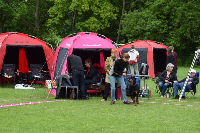 Vejen søndag 2015