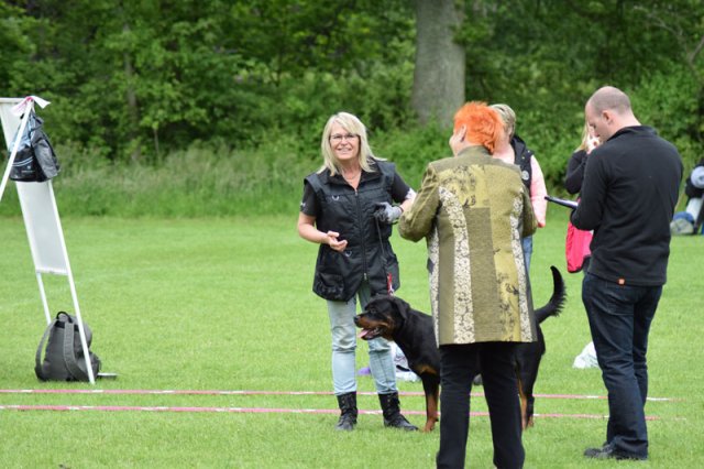 Vejen søndag 2015
