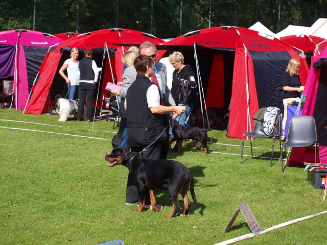 Århus 2014