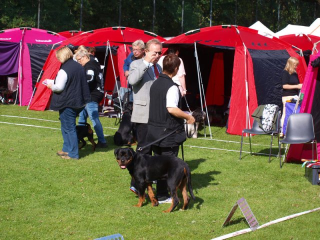 Århus 2014