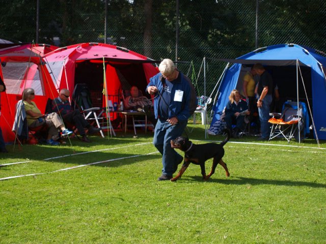 Århus 2014