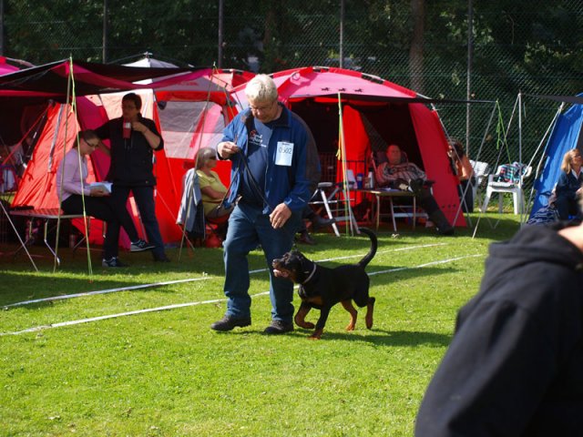 Århus 2014