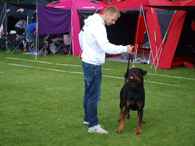 Århus 2014