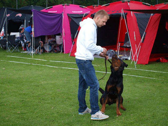 Århus 2014
