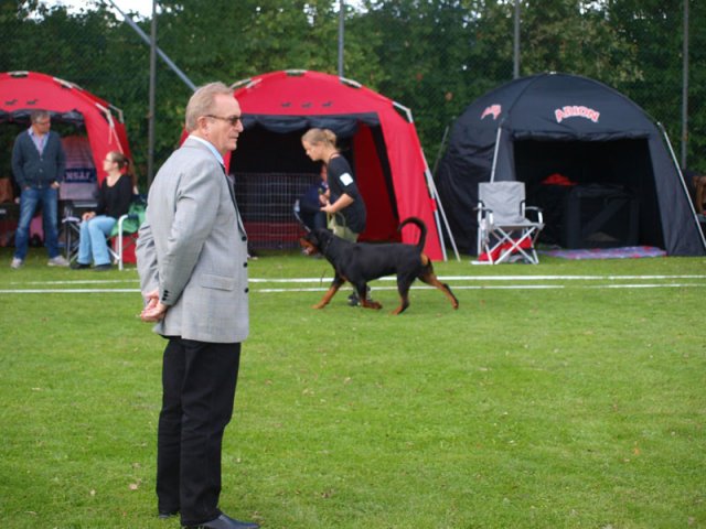 Århus 2014