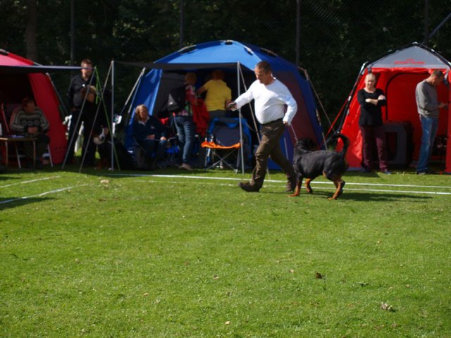Århus 2014