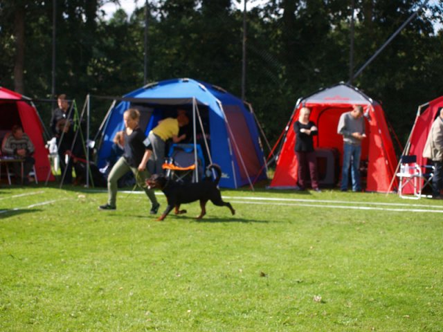 Århus 2014