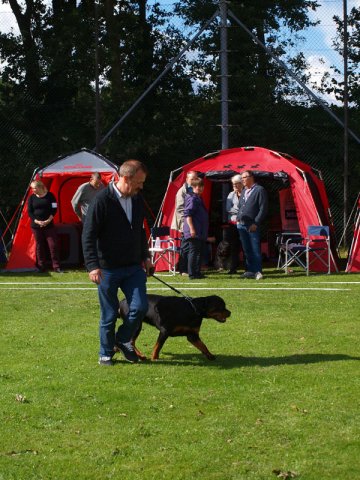 Århus 2014