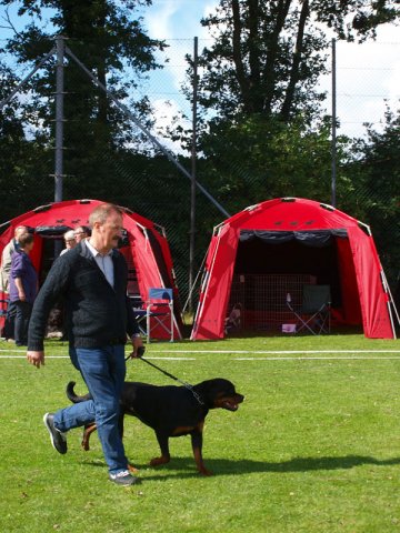 Århus 2014