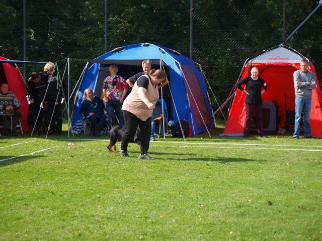 Århus 2014