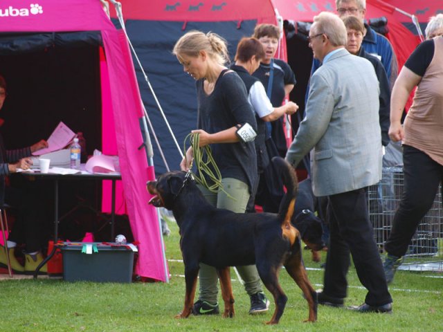 Århus 2014
