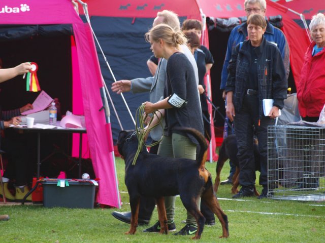 Århus 2014