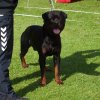 Århus 2014
