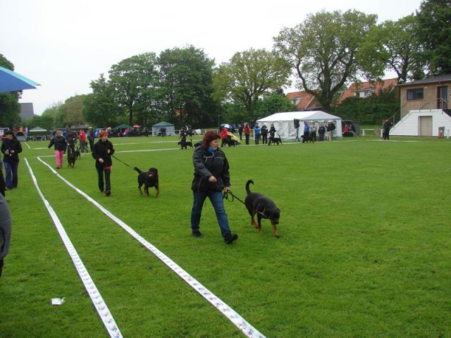 World Show 1