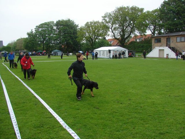 World Show 1