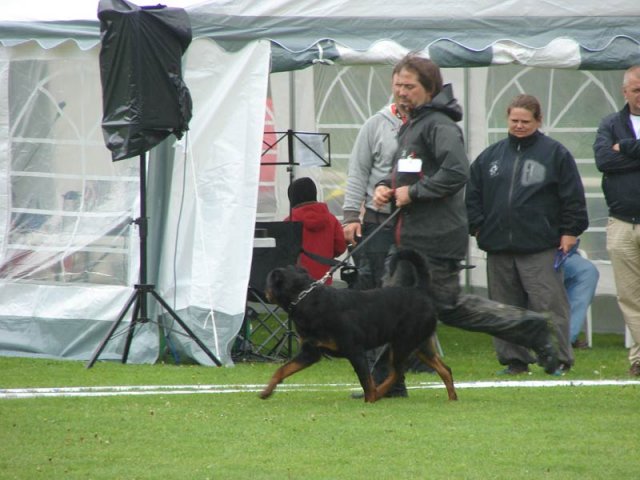 World Show 1
