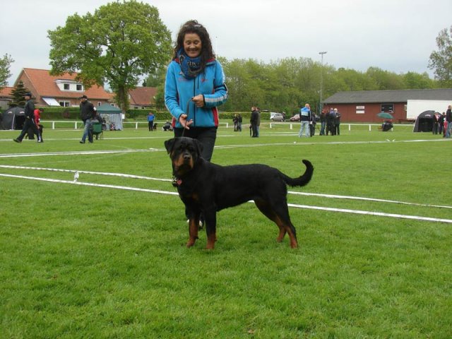World Show 1