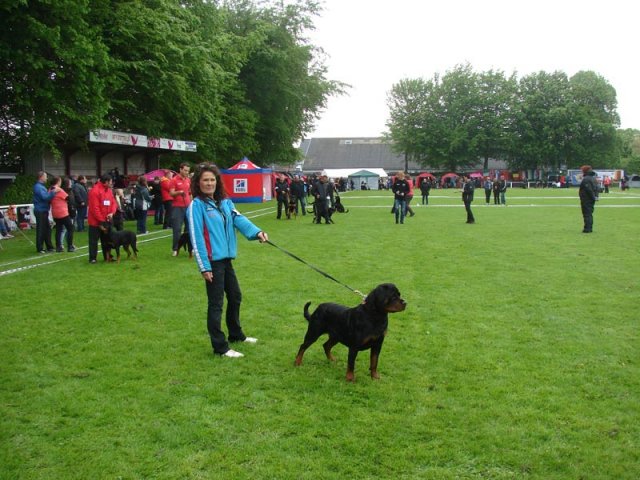 World Show 1