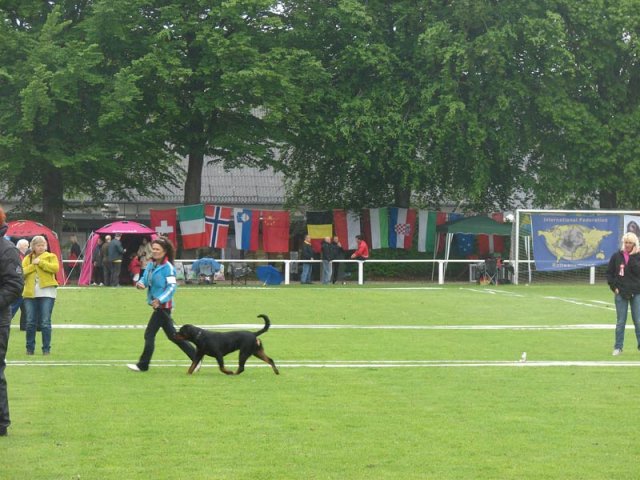World Show 1