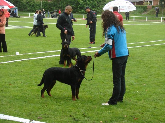 World Show 1