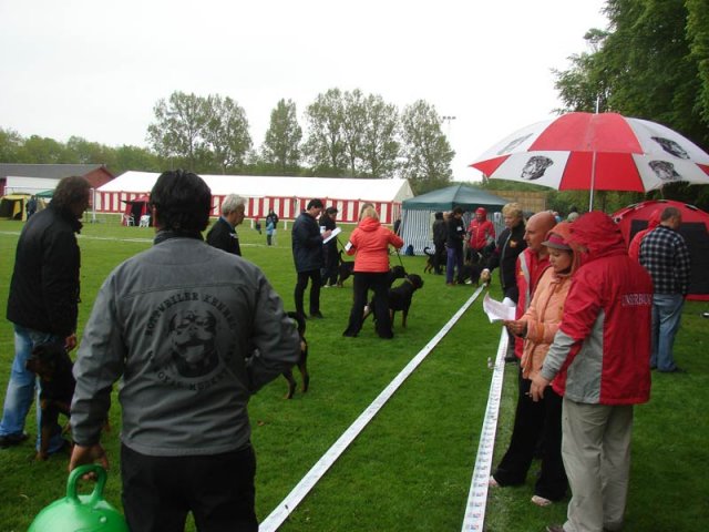 World Show 1