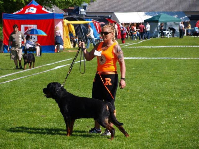World Show 1