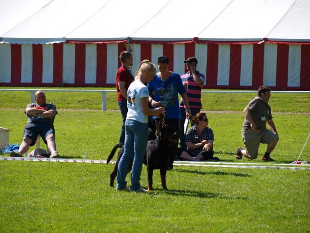 World Show 1