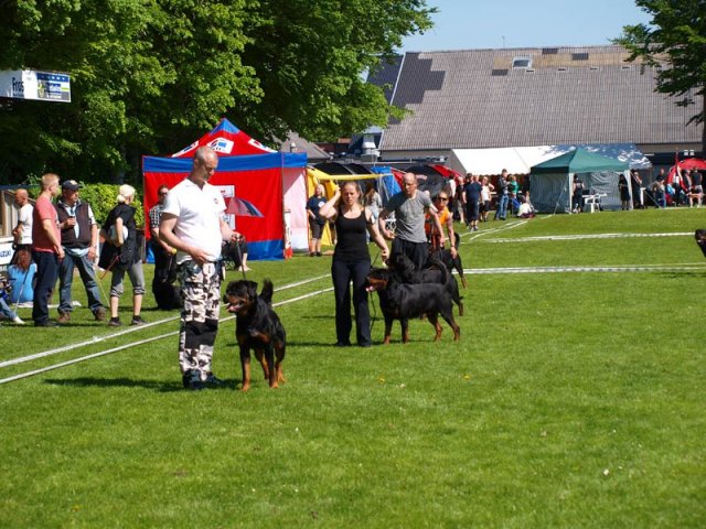 World Show 1