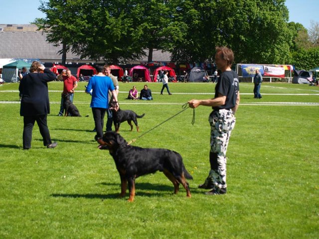 World Show 1