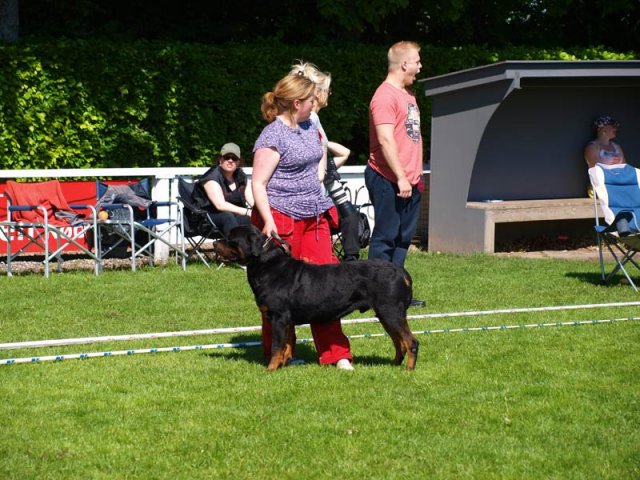 World Show 1
