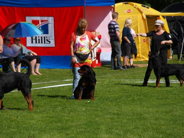 World Show 1