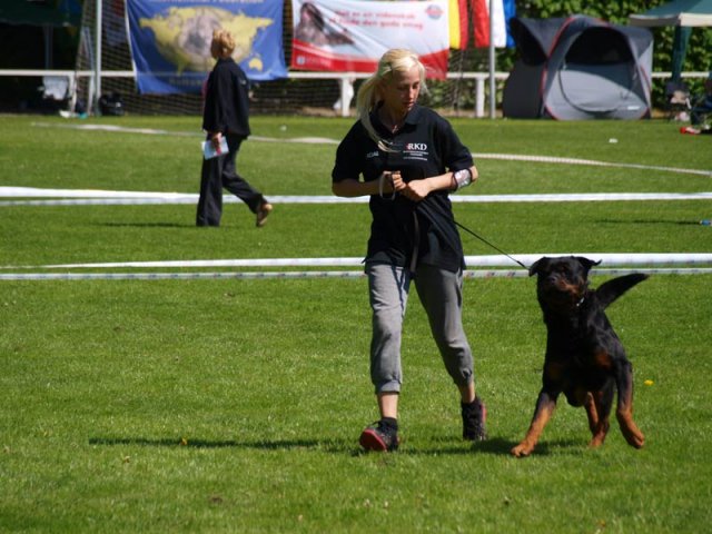World Show 1