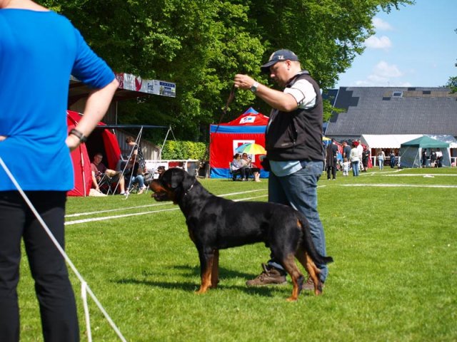 World Show 1