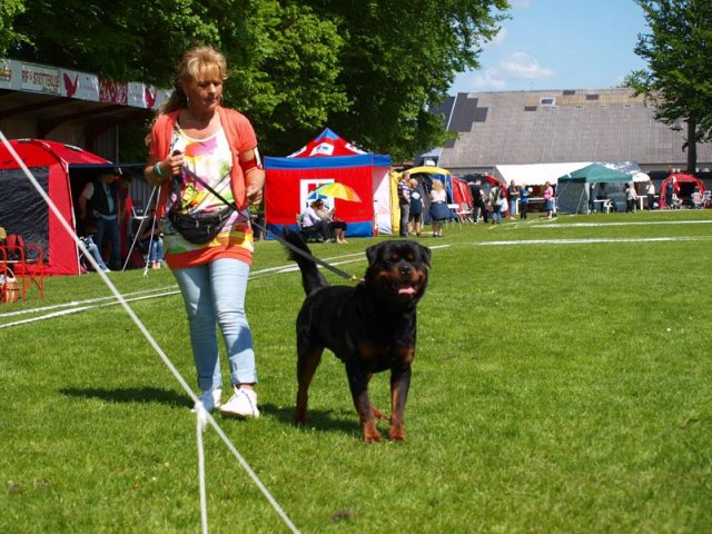 World Show 1