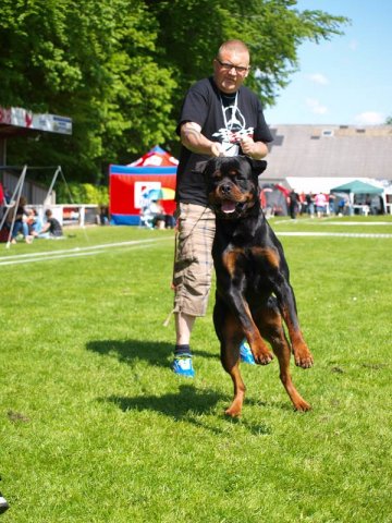 World Show 1