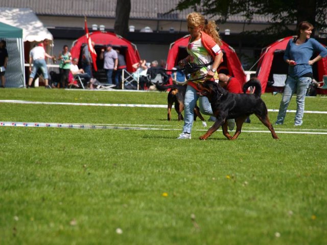 World Show 1
