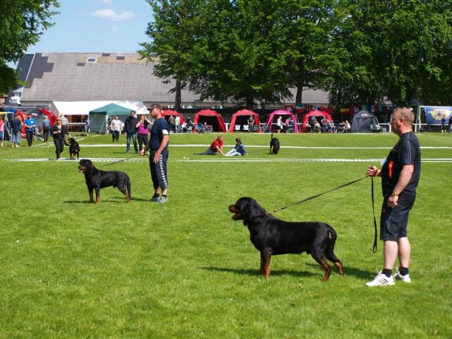 World Show 1