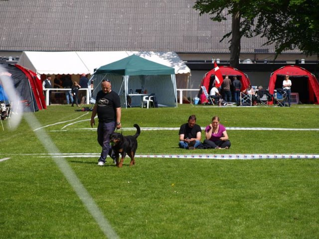 World Show 1