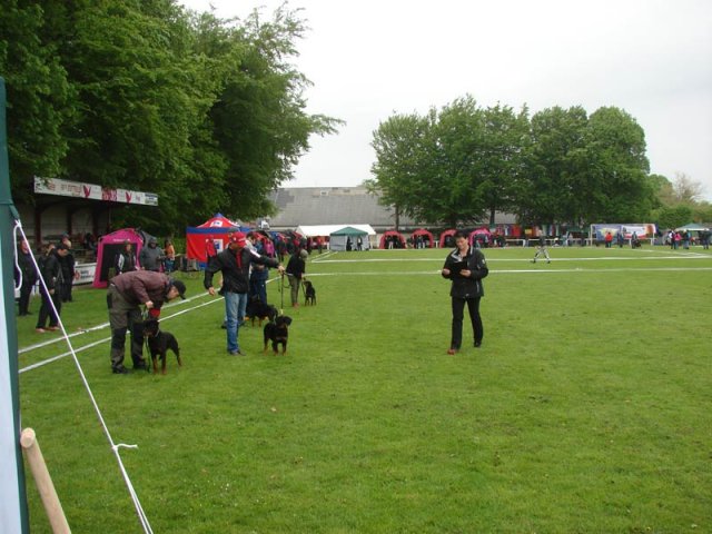 World Show 1